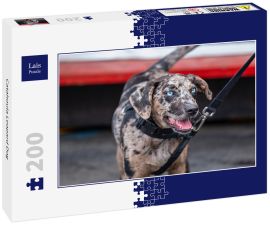Lais Puzzle - Catahoula Leopard Dog - 200 Teile