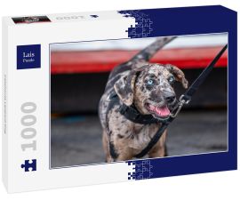 Lais Puzzle - Catahoula Leopard Dog - 1.000 Teile