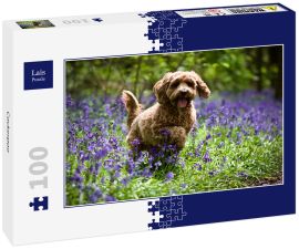 Lais Puzzle - Cockerpoo - 100 Teile