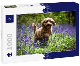 Lais Puzzle - Cockerpoo - 1.000 Teile