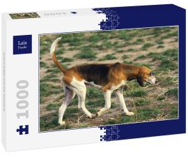 Lais Puzzle - Grand Anglo-Francis Tricolore - 1.000 Teile