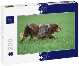 Lais Puzzle - Epagneul Picard - 200 Teile