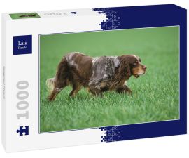 Lais Puzzle - Epagneul Picard - 1.000 Teile
