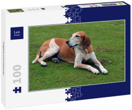 Lais Puzzle - English Coonhound - 100 Teile