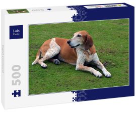 Lais Puzzle - English Coonhound - 500 Teile