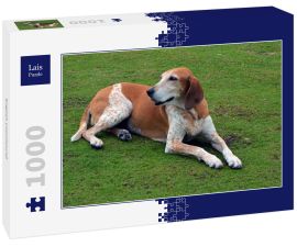 Lais Puzzle - English Coonhound - 1.000 Teile