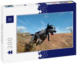 Lais Puzzle - Braque du Auvergne - 200 Teile