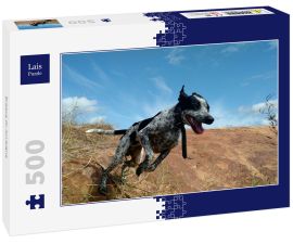 Lais Puzzle - Braque du Auvergne - 500 Teile