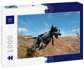 Lais Puzzle - Braque du Auvergne - 1.000 Teile