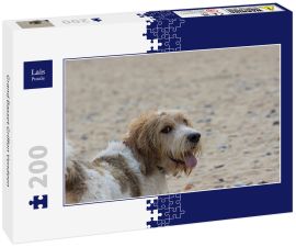 Lais Puzzle - Grand Basset Griffon Vendeen - 200 Teile
