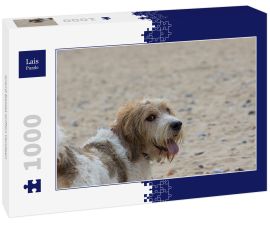 Lais Puzzle - Grand Basset Griffon Vendeen - 1.000 Teile