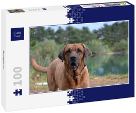 Lais Puzzle - Broholmer - 100 Teile