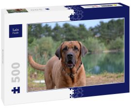 Lais Puzzle - Broholmer - 500 Teile