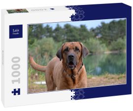 Lais Puzzle - Broholmer - 1.000 Teile