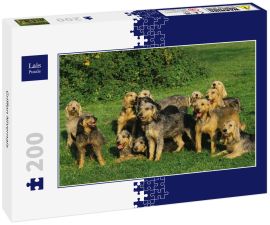 Lais Puzzle - Griffon Nivernais - 200 Teile