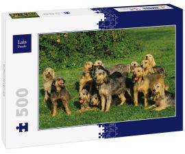 Lais Puzzle - Griffon Nivernais - 500 Teile