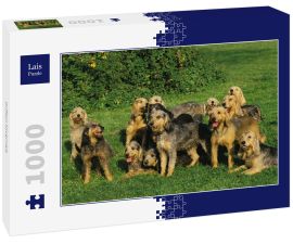Lais Puzzle - Griffon Nivernais - 1.000 Teile