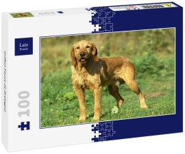 Lais Puzzle - Griffon Fauve de Bretagne - 100 Teile