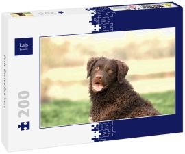 Lais Puzzle - Curly-Coated Retriever - 200 Teile