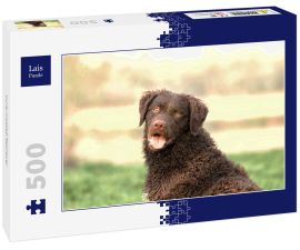 Lais Puzzle - Curly-Coated Retriever - 500 Teile