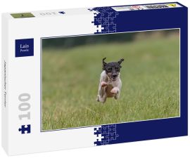 Lais Puzzle - Japanischer Terrier - 100 Teile