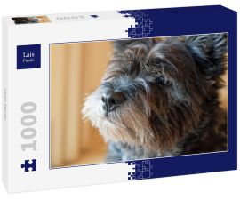 Lais Puzzle - Cairn-Terrier - 1.000 Teile