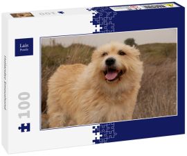 Lais Puzzle - Hollandse Smoushond - 100 Teile