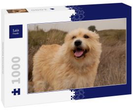 Lais Puzzle - Hollandse Smoushond - 1.000 Teile