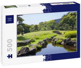 Lais Puzzle - Ayurvedische Shirodhara-Behandlung in Indien - 500 Teile