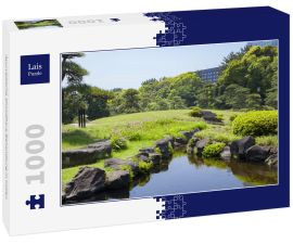 Lais Puzzle - Ayurvedische Shirodhara-Behandlung in Indien - 1.000 Teile