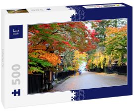 Lais Puzzle - Indisches Tor - 500 Teile