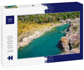 Lais Puzzle - Knopfschnabelente, Indien - 1.000 Teile