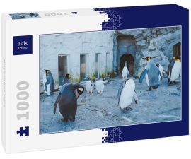 Lais Puzzle - Strand von Baga, Indien - 1.000 Teile