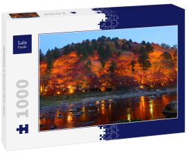 Lais Puzzle - Herbstlaub in Korankei, Aichi, Japan - 1.000 Teile