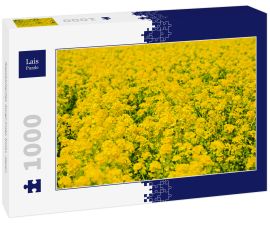 Lais Puzzle - Rapsblütenfel, Awaji-Insel, Kinki, Japan - 1.000 Teile