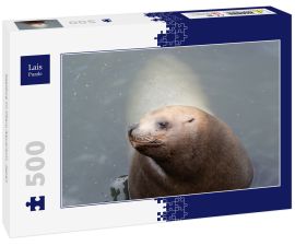 Lais Puzzle - Seelöwe im Otaru Aquarium, Japan - 500 Teile