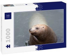Lais Puzzle - Seelöwe im Otaru Aquarium, Japan - 1.000 Teile