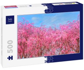 Lais Puzzle - Sakura im Kitakami Tenshochi Park,  Japan - 500 Teile