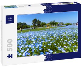 Lais Puzzle - Nemophila, Fukuoka, Kyushu, Japan - 500 Teile