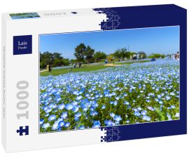 Lais Puzzle - Nemophila, Fukuoka, Kyushu, Japan - 1.000 Teile
