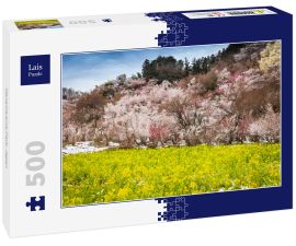 Lais Puzzle - Hanamiyama-Park, Japan - 500 Teile
