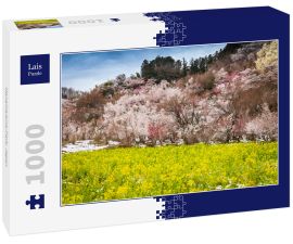Lais Puzzle - Hanamiyama-Park, Japan - 1.000 Teile