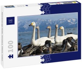 Lais Puzzle - Kanchenjunga-Kette, Himalaya, Sikkim, Indien - 100 Teile