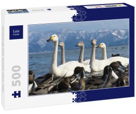 Lais Puzzle - Kanchenjunga-Kette, Himalaya, Sikkim, Indien - 500 Teile