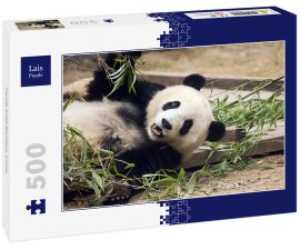 Lais Puzzle - Panda frisst Bambus, China - 500 Teile