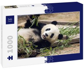 Lais Puzzle - Panda frisst Bambus, China - 1.000 Teile