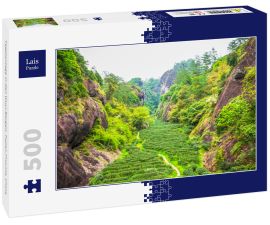 Lais Puzzle - Teeplantage in den Wuyi-Bergen, Fujian-Provinz, China - 500 Teile