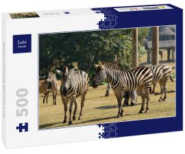 Lais Puzzle - Zebras im Chimelong Safari Park, China - 500 Teile