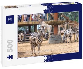 Lais Puzzle - Zebra im Tierpark, China - 500 Teile