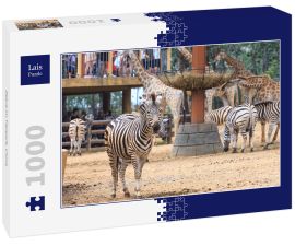 Lais Puzzle - Zebra im Tierpark, China - 1.000 Teile